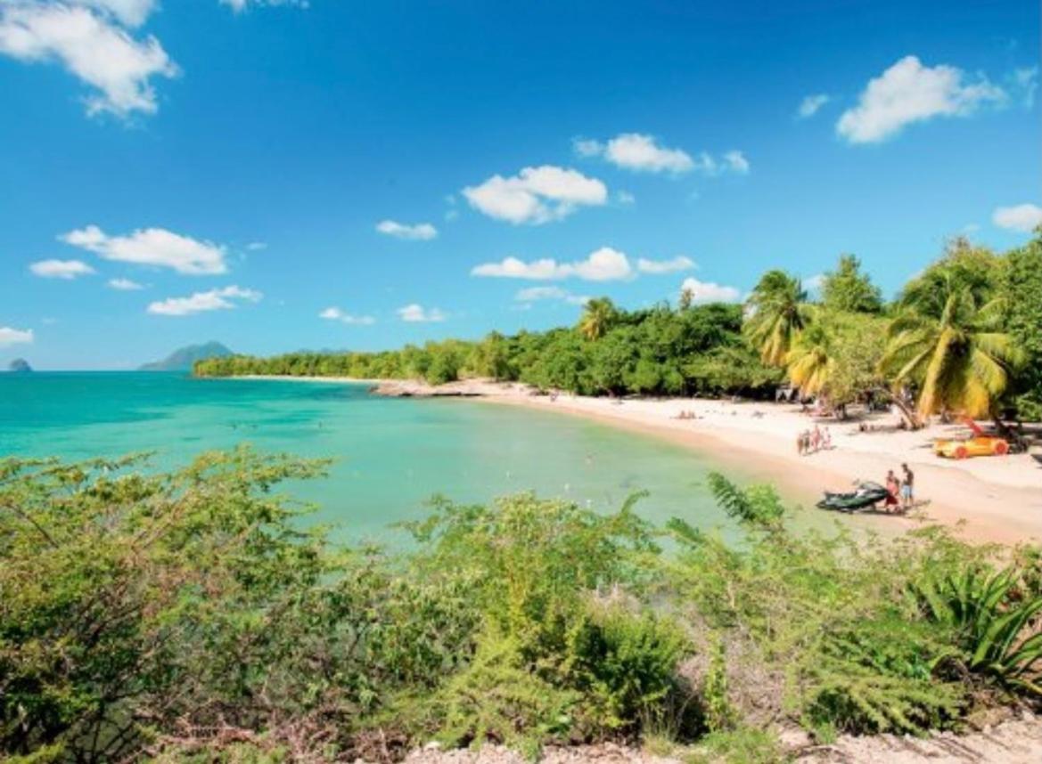 Couleur Caraibes-Cocobeach Martinique Pierre Et Vacances Sainte-Luce Eksteriør billede