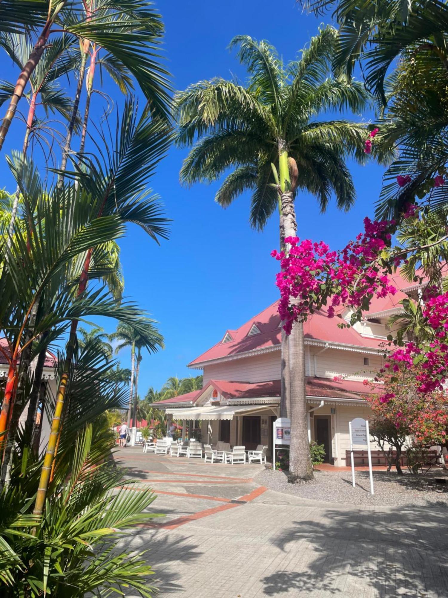 Couleur Caraibes-Cocobeach Martinique Pierre Et Vacances Sainte-Luce Eksteriør billede