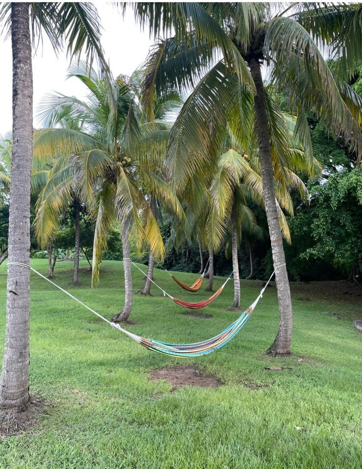 Couleur Caraibes-Cocobeach Martinique Pierre Et Vacances Sainte-Luce Eksteriør billede