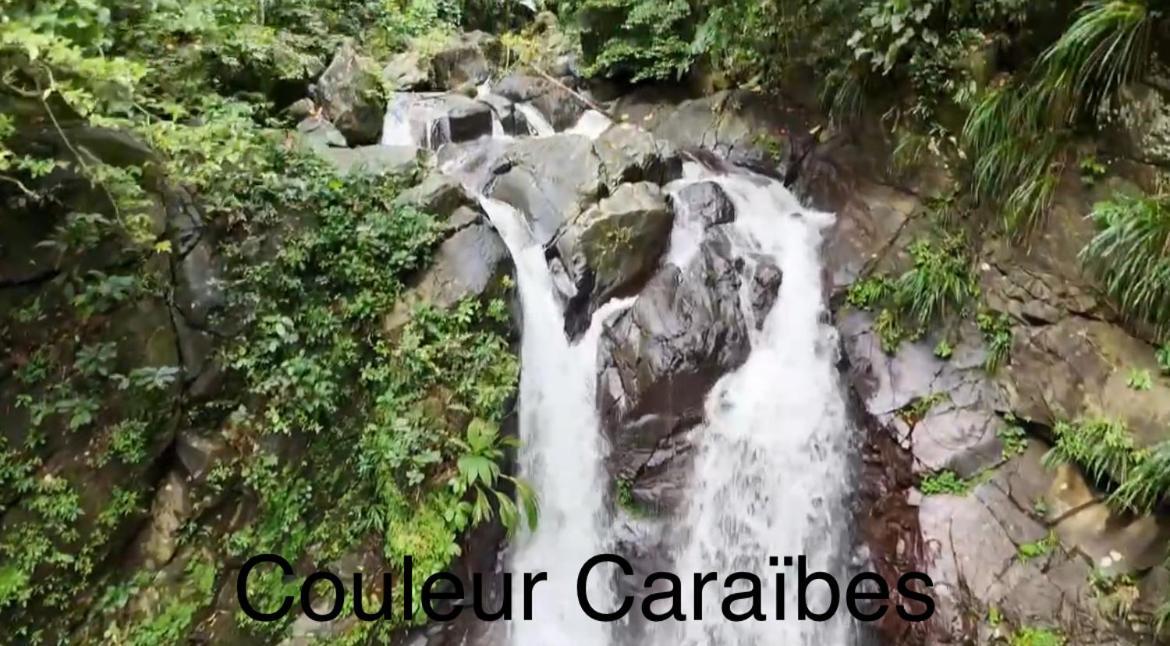 Couleur Caraibes-Cocobeach Martinique Pierre Et Vacances Sainte-Luce Eksteriør billede