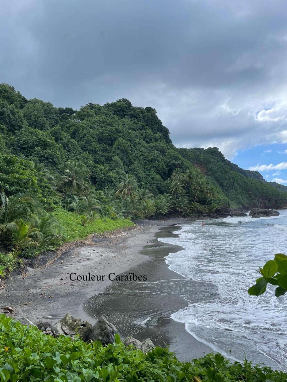 Couleur Caraibes-Cocobeach Martinique Pierre Et Vacances Sainte-Luce Eksteriør billede