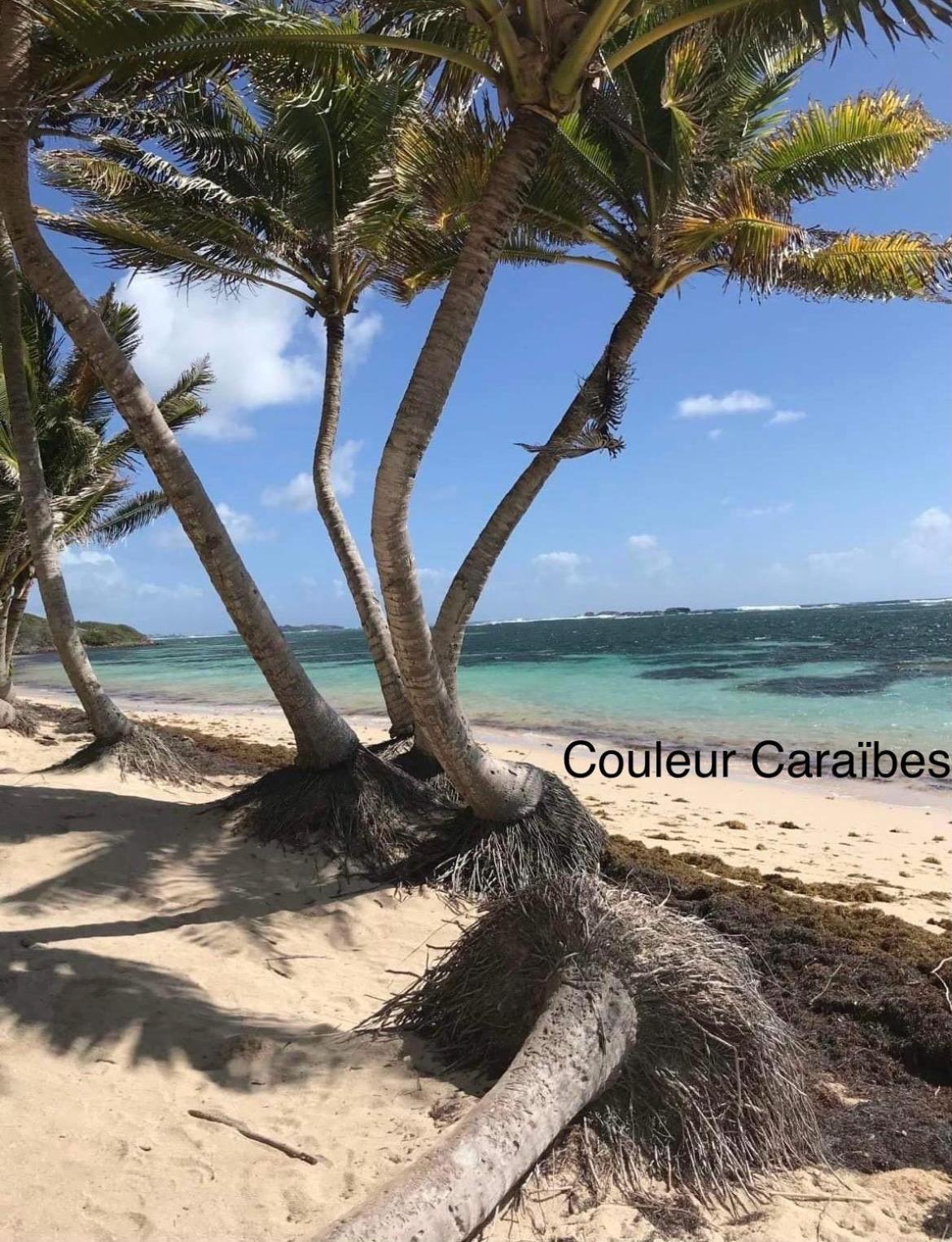 Couleur Caraibes-Cocobeach Martinique Pierre Et Vacances Sainte-Luce Eksteriør billede