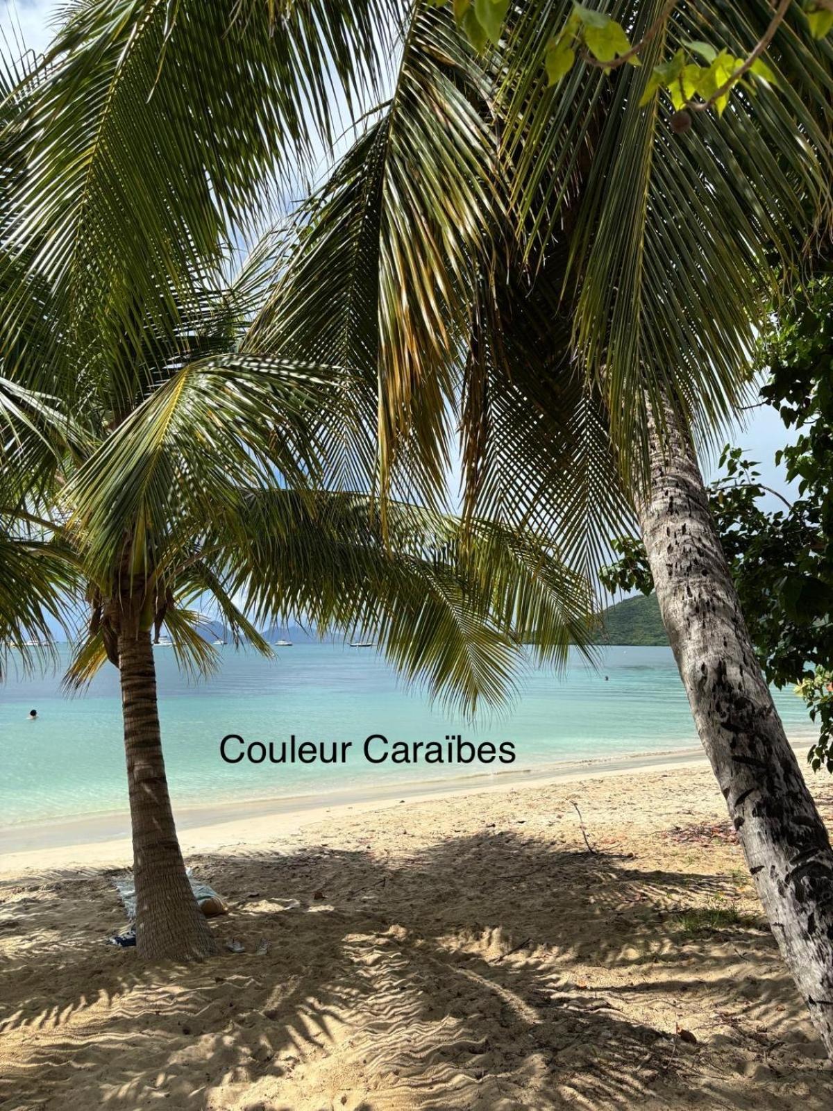 Couleur Caraibes-Cocobeach Martinique Pierre Et Vacances Sainte-Luce Eksteriør billede